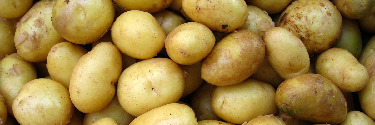 Patatas de Alava